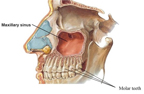 01-1.jpg (483×314)