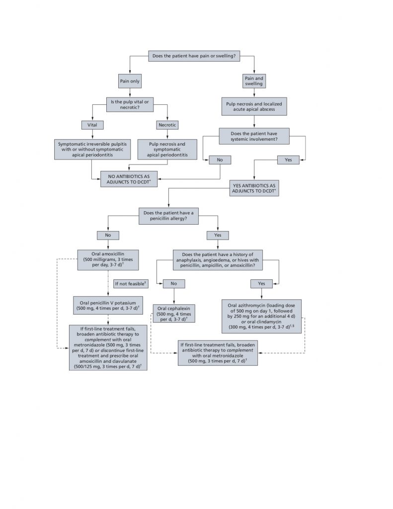 Latest antibiotics recommendation for the general dentist - Dr. Nima ...